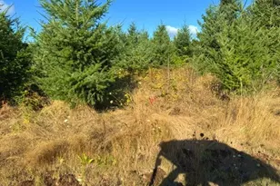 31601 S Yoder Rd, Hubbard, OR 97032 - Photo 25