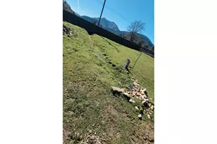 514 Eakin Rd, Azalea, OR 97410 - Photo 37