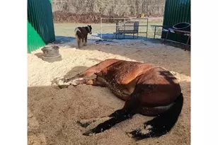 514 Eakin Rd, Azalea, OR 97410 - Photo 31