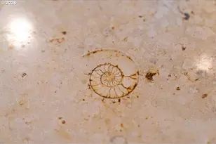 600 SE Arrow Creek Ln, Gresham, OR 97080 - Photo 43