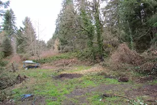 31191 New Kirk Rd, Scappoose, OR 97056 - Photo 5