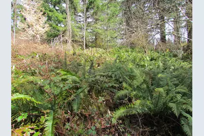 31191 New Kirk Rd, Scappoose, OR 97056 - Photo 9