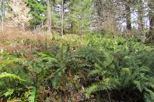 31191 New Kirk Rd, Scappoose, OR 97056 - Photo 9