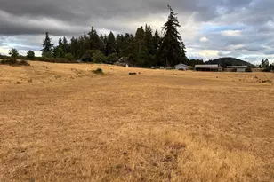 33465 Irish Ln, Creswell, OR 97426 - Photo 3