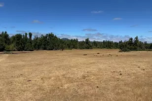 33465 Irish Ln, Creswell, OR 97426 - Photo 27