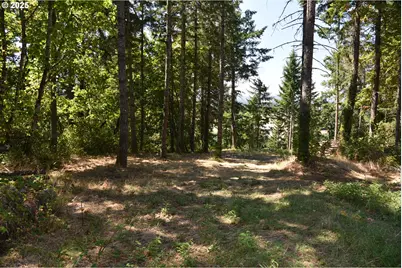 00 Mountain Rd, West Linn, OR 97068 - Photo 7