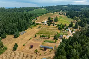 25113 S Ridge Rd, Beavercreek, OR 97004 - Photo 31