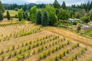 25113 S Ridge Rd, Beavercreek, OR 97004 - Photo 35