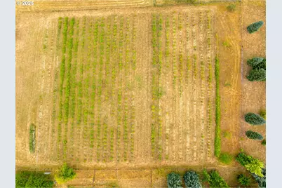 25113 S Ridge Rd, Beavercreek, OR 97004 - Photo 41