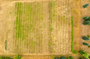 25113 S Ridge Rd, Beavercreek, OR 97004 - Photo 41