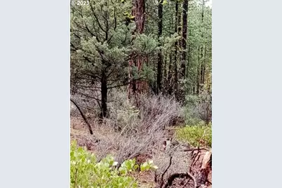 1 Forest Rd 9715, Chiloquin, OR 97624 - Photo 33