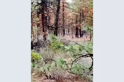 1 Forest Rd 9715, Chiloquin, OR 97624 - Photo 17