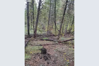 1 Forest Rd 9715, Chiloquin, OR 97624 - Photo 3