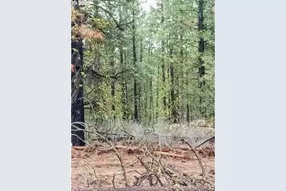 1 Forest Rd 9715, Chiloquin, OR 97624 - Photo 19
