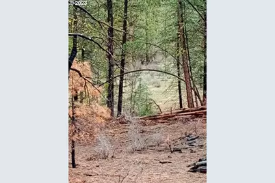 1 Forest Rd 9715, Chiloquin, OR 97624 - Photo 13
