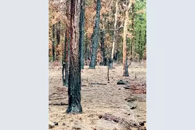 1 Forest Rd 9715, Chiloquin, OR 97624 - Photo 25