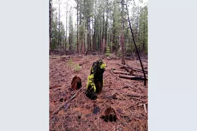 1 Forest Rd 9715, Chiloquin, OR 97624 - Photo 7