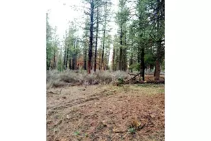 1 Forest Rd 9715, Chiloquin, OR 97624 - Photo 1
