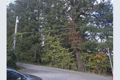 Hattan Rd, Oregon City, OR 97045 - Photo 3