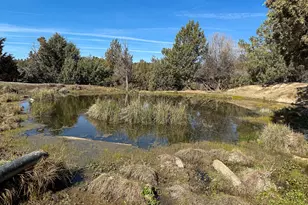25405 SE Bear Creek Rd, Prineville, OR 97754 - Photo 33