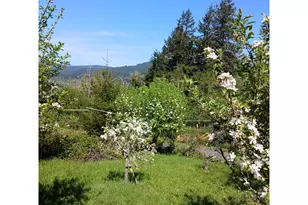 99608 S Bank Chetco Rd, Brookings, OR 97415 - Photo 29