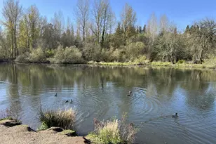 1317 NW 146th St, Vancouver, WA 98685 - Photo 31