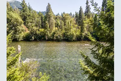 54444 McKenzie River Dr, Blue River, OR 97413 - Photo 11