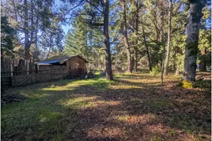 464 Lou Gray Dr, Myrtle Creek, OR 97457 - Photo 5