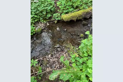 0 Green Mountain Rd, Kalama, WA 98625 - Photo 3