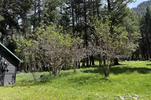 84690 Hall Ln, Wallowa Lake, OR 97846 - Photo 17