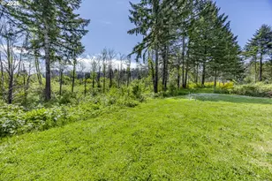45632 McKenzie Hwy, Vida, OR 97488 - Photo 31