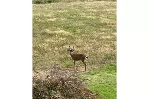 1421 NW 117th Cir, Vancouver, WA 98685 - Photo 43