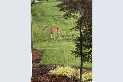 1421 NW 117th Cir, Vancouver, WA 98685 - Photo 45