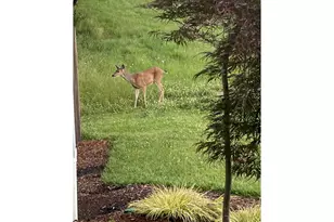 1421 NW 117th Cir, Vancouver, WA 98685 - Photo 45