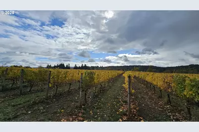 0 Pioneer Rd, Dallas, OR 97338 - Photo 15