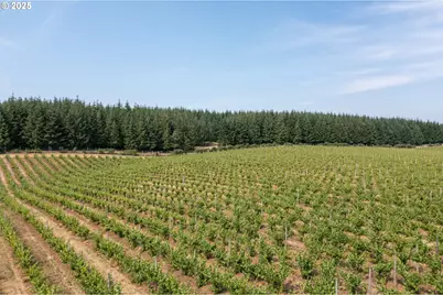 0 Pioneer Rd, Dallas, OR 97338 - Photo 3