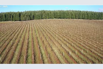0 Pioneer Rd, Dallas, OR 97338 - Photo 13