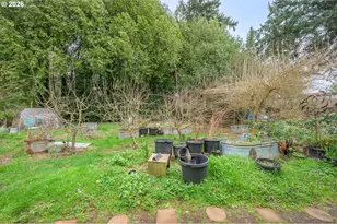 325 River Rd, Eugene, OR 97404 - Photo 39