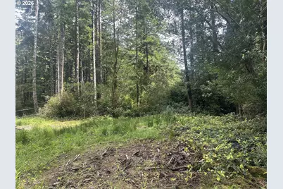 Cedar Hollow Rd, Port Orford, OR 97465 - Photo 3
