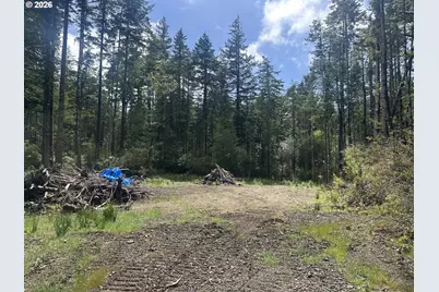 Cedar Hollow Rd, Port Orford, OR 97465 - Photo 1