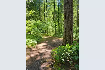 Cabin 64 Northwoods, Cougar, WA 98616 - Photo 29