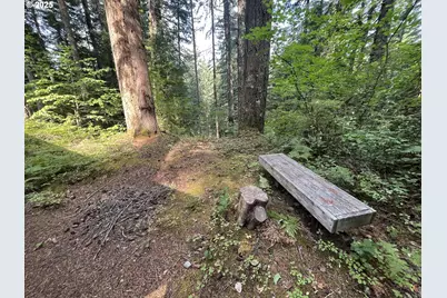 Cabin 64 Northwoods, Cougar, WA 98616 - Photo 19