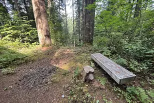 Cabin 64 Northwoods, Cougar, WA 98616 - Photo 19