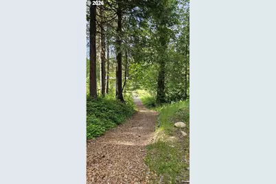54841 McKenzie River Dr, Blue River, OR 97413 - Photo 31