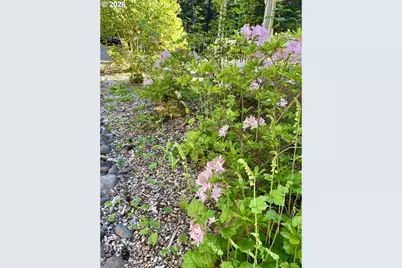 54841 McKenzie River Dr, Blue River, OR 97413 - Photo 45