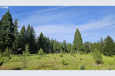 54841 McKenzie River Dr, Blue River, OR 97413 - Photo 35