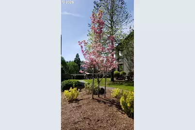 9515 SW 146th Ter #C-8, Beaverton, OR 97007 - Photo 29