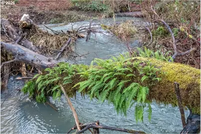 37905 S Wilhoit Rd, Molalla, OR 97038 - Photo 41