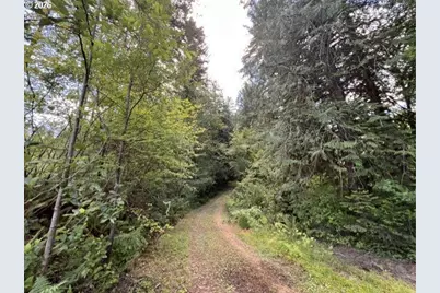 Fairdale Rd, Yamhill, OR 97148 - Photo 17