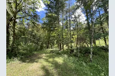 Fairdale Rd, Yamhill, OR 97148 - Photo 39
